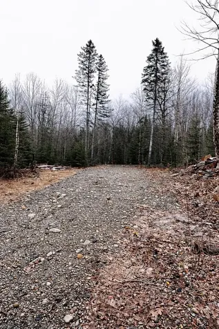 0 Shadow Lake Road Glover VT 05839