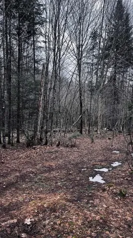 0 Shadow Lake Road Glover VT 05839