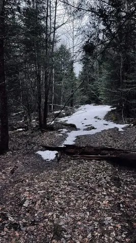 0 Shadow Lake Road Glover VT 05839