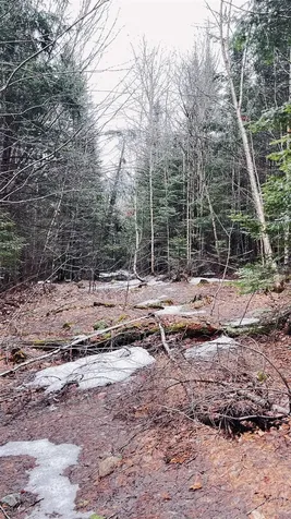 0 Shadow Lake Road Glover VT 05839