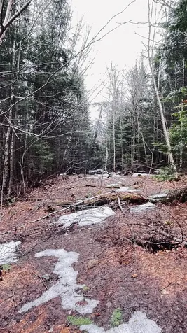 0 Shadow Lake Road Glover VT 05839