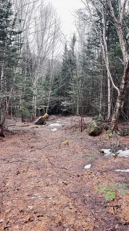 0 Shadow Lake Road Glover VT 05839