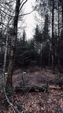 0 Shadow Lake Road Glover VT 05839