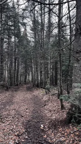 0 Shadow Lake Road Glover VT 05839