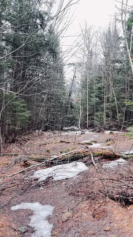 0 Shadow Lake Road Glover VT 05839