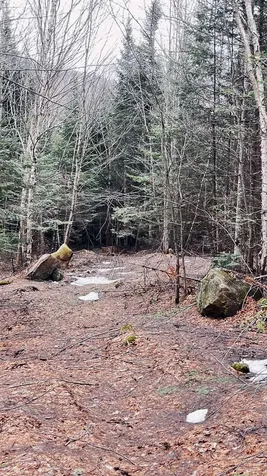 0 Shadow Lake Road Glover VT 05839