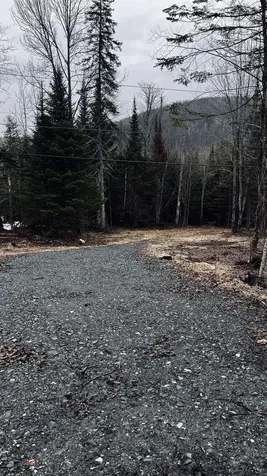 0 Shadow Lake Road Glover VT 05839