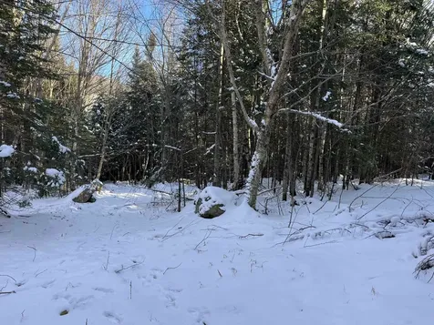 0 Shadow Lake Road Glover VT 05839