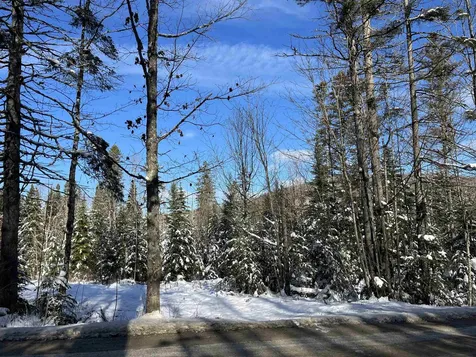 0 Shadow Lake Road Glover VT 05839