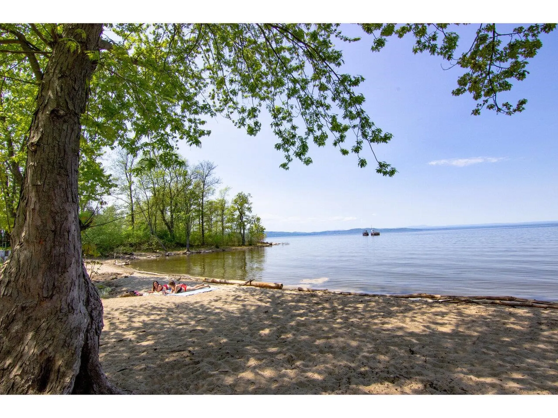 230 North Street Burlington VT 05401