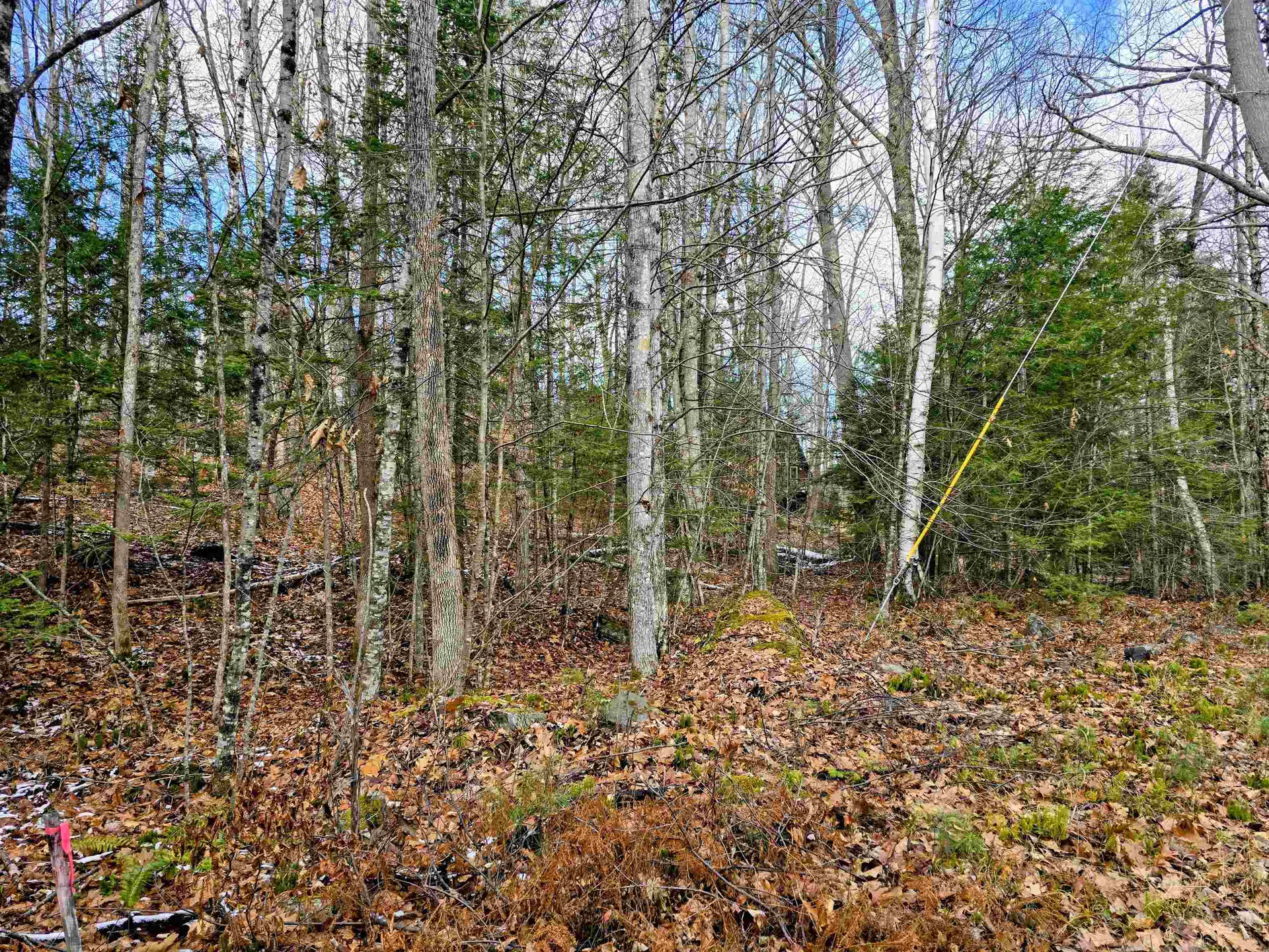 5 Windgate Terrace Haverhill NH 03785