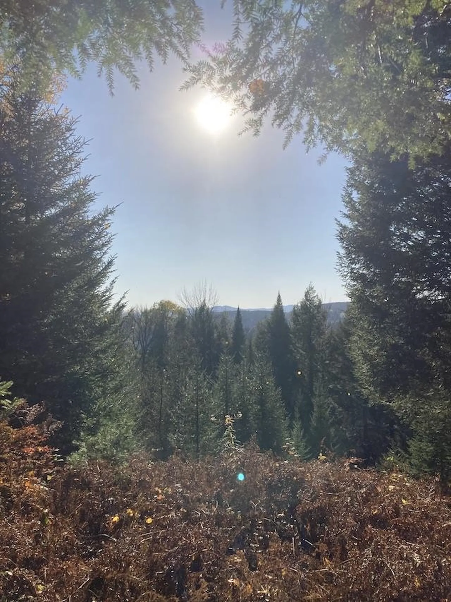 Lot B1 Gould Hill Road Montpelier VT 05602