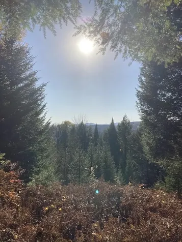 Lot B1 Gould Hill Road Montpelier VT 05602