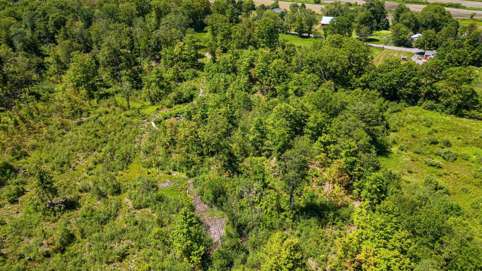 458 Cheshire Turnpike Langdon NH 03602