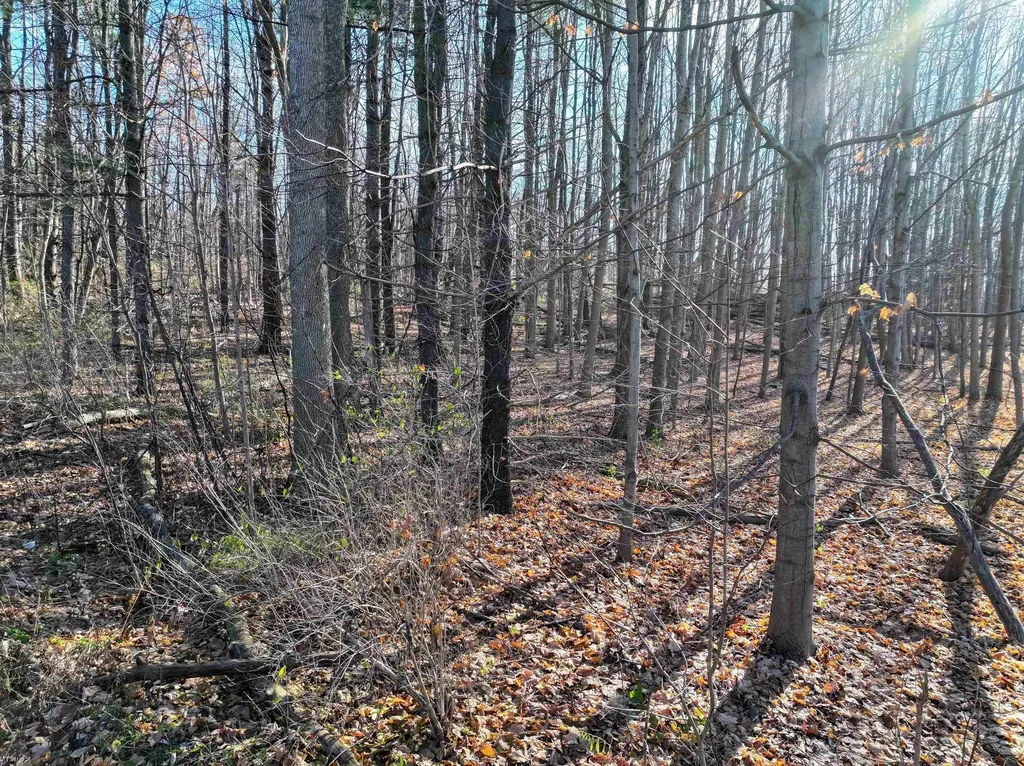 Tbd Route 7 S Middlebury VT 05753