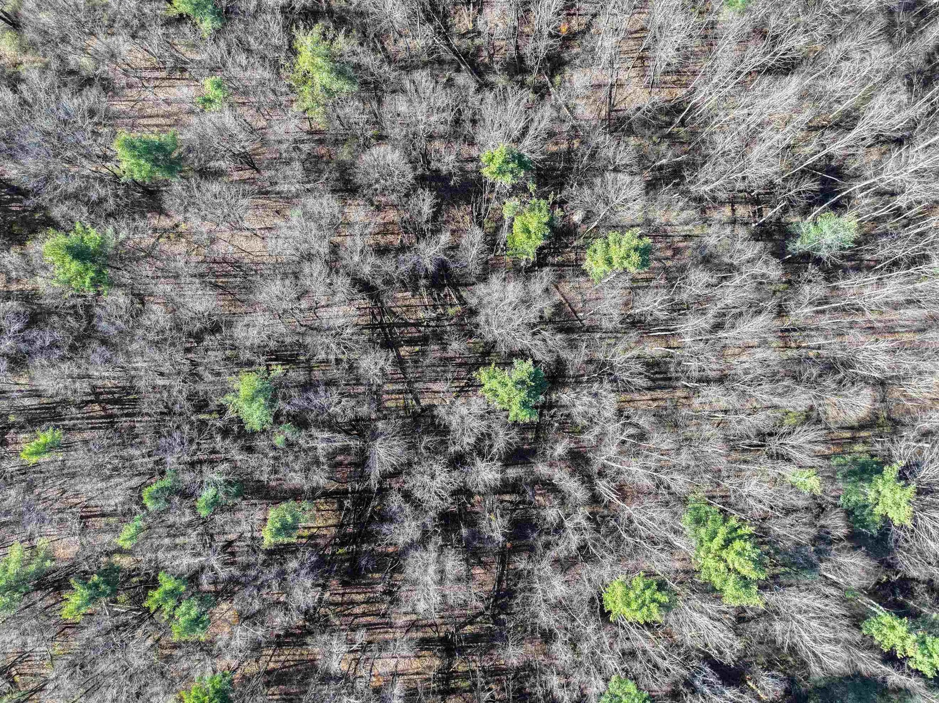 Tbd Route 7 S Middlebury VT 05753