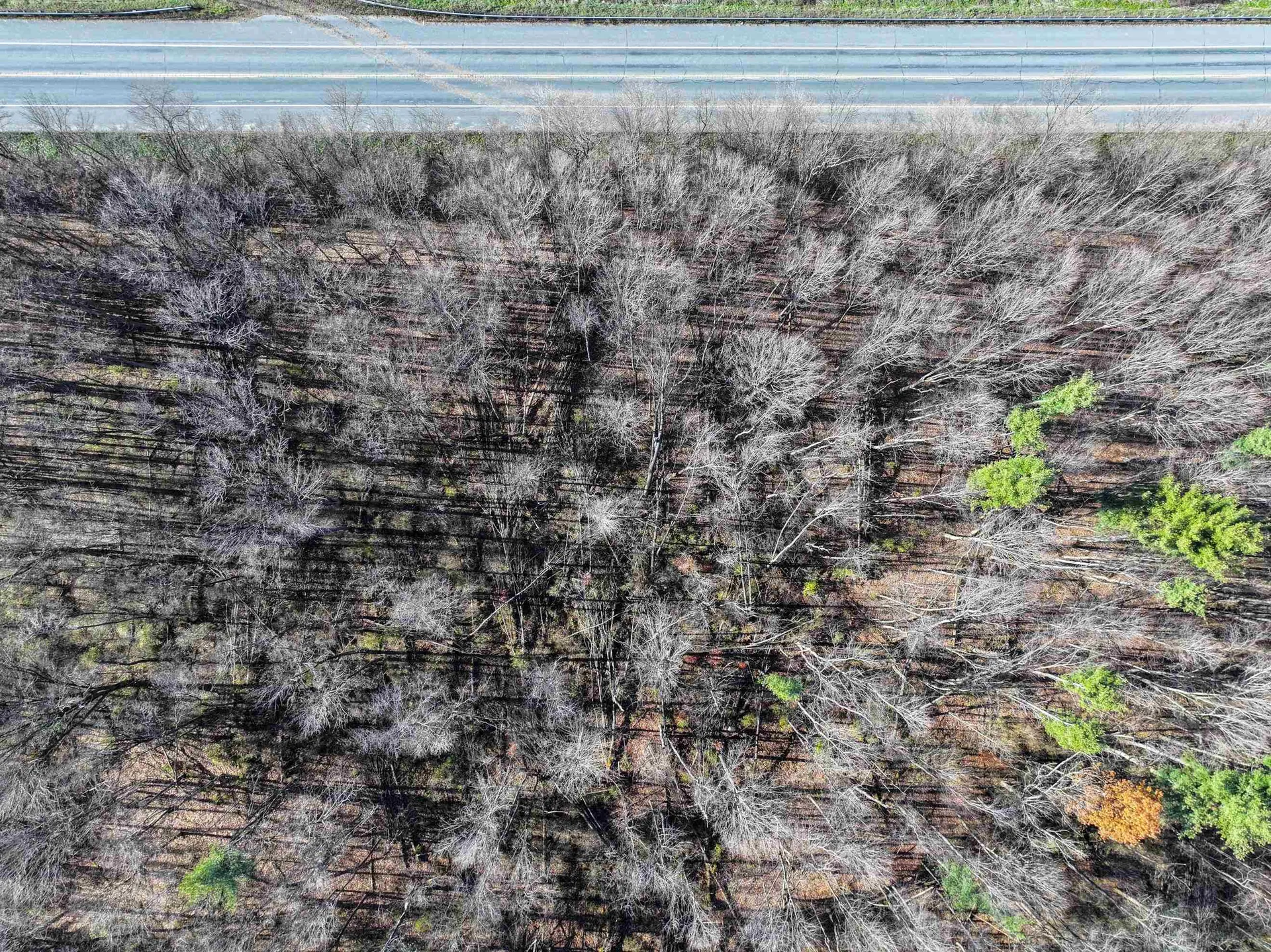 Tbd Route 7 S Middlebury VT 05753