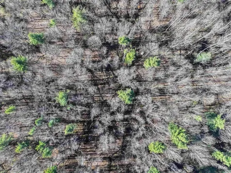 Tbd Route 7 S Middlebury VT 05753