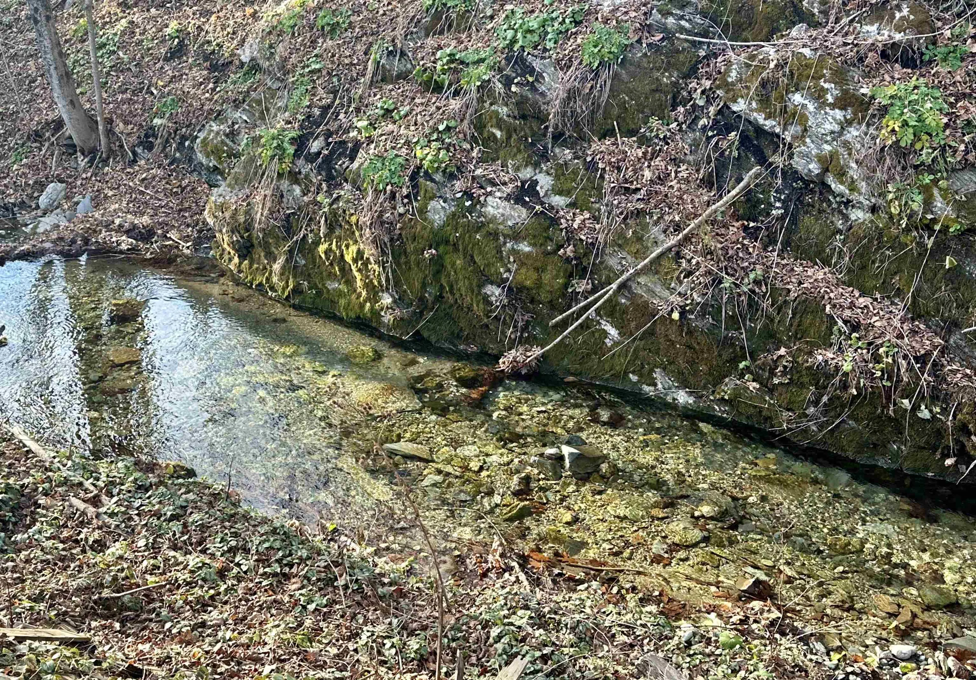 47 Waite Hill Road Pawlet VT 05761