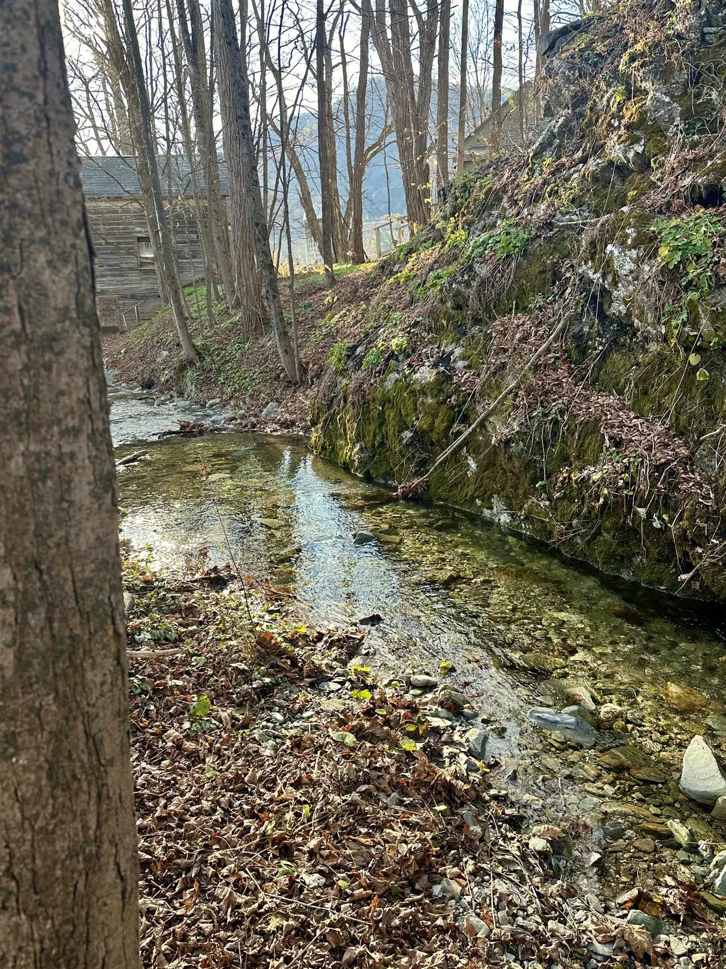 47 Waite Hill Road Pawlet VT 05761