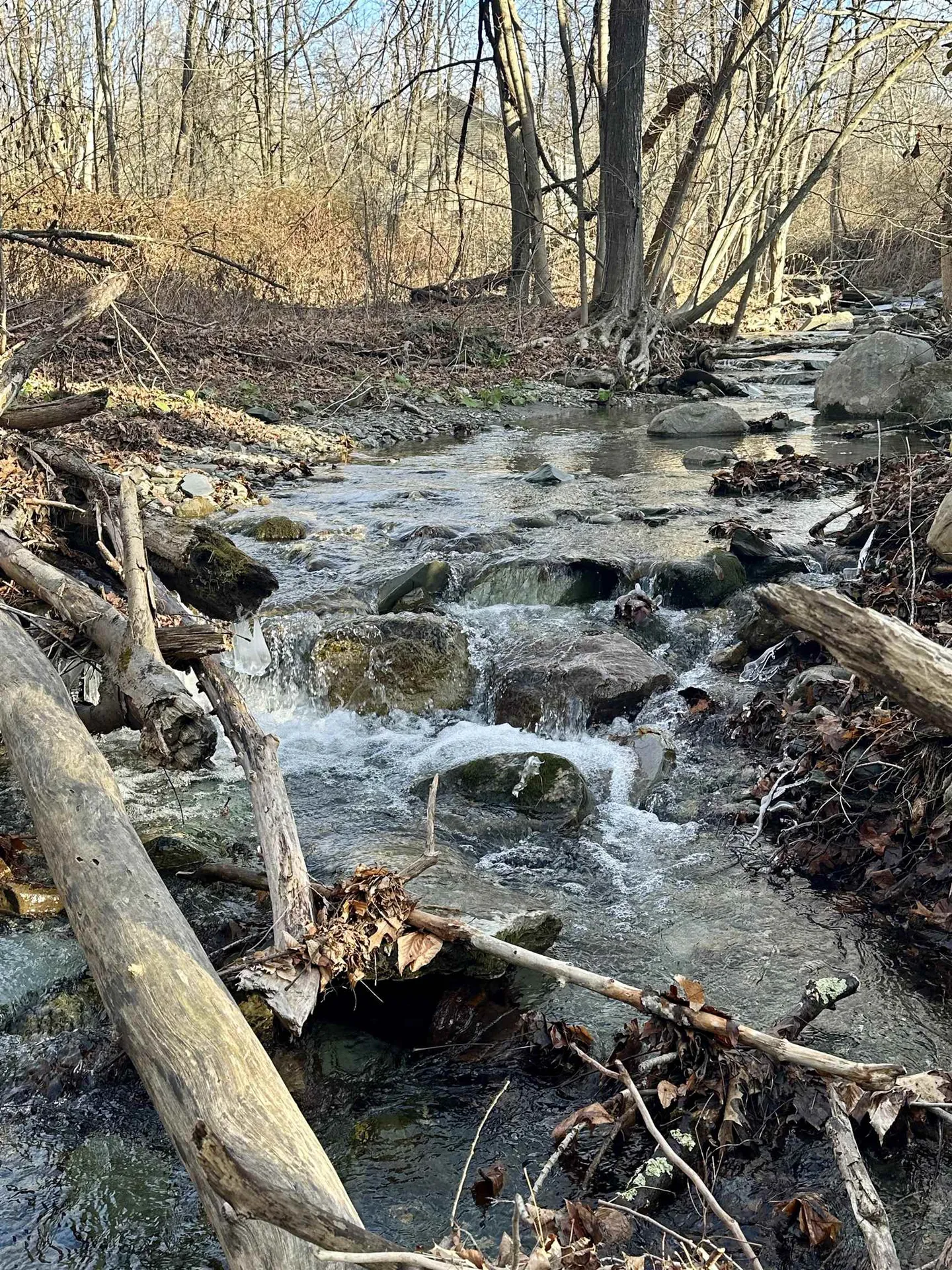 47 Waite Hill Road Pawlet VT 05761