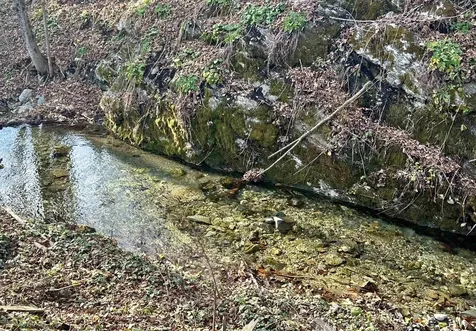 47 Waite Hill Road Pawlet VT 05761