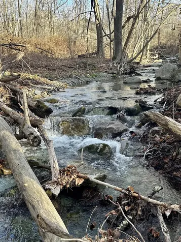 47 Waite Hill Road Pawlet VT 05761