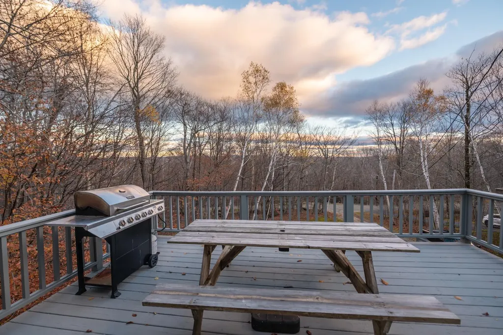 12 Lilla Lane Wilmington VT 05363