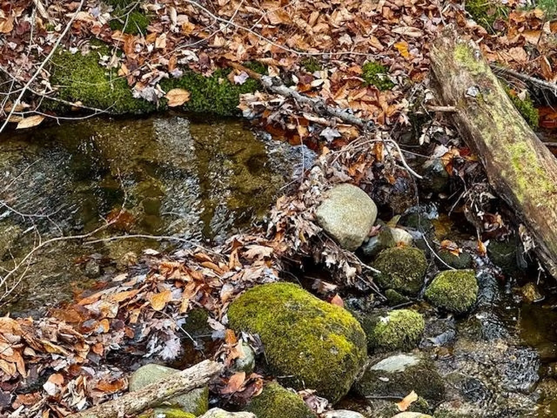 Tbd Towle Hill Road Eaton NH 03848