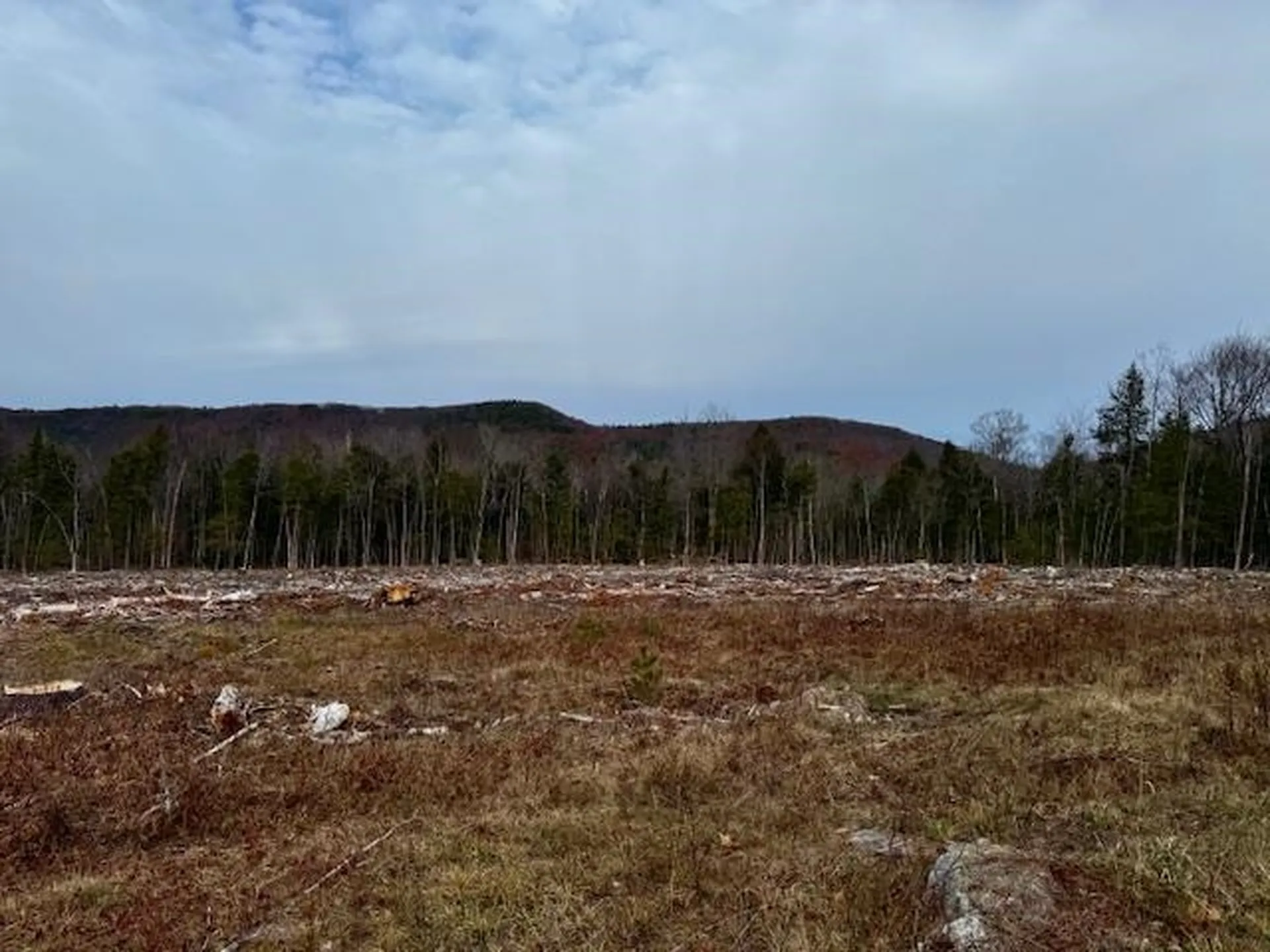 Tbd Towle Hill Road Eaton NH 03848