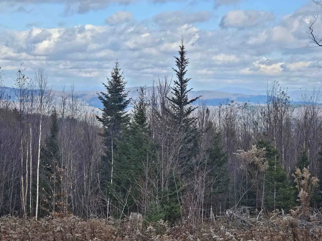 706 Vt Route 100 Stratton VT 05360