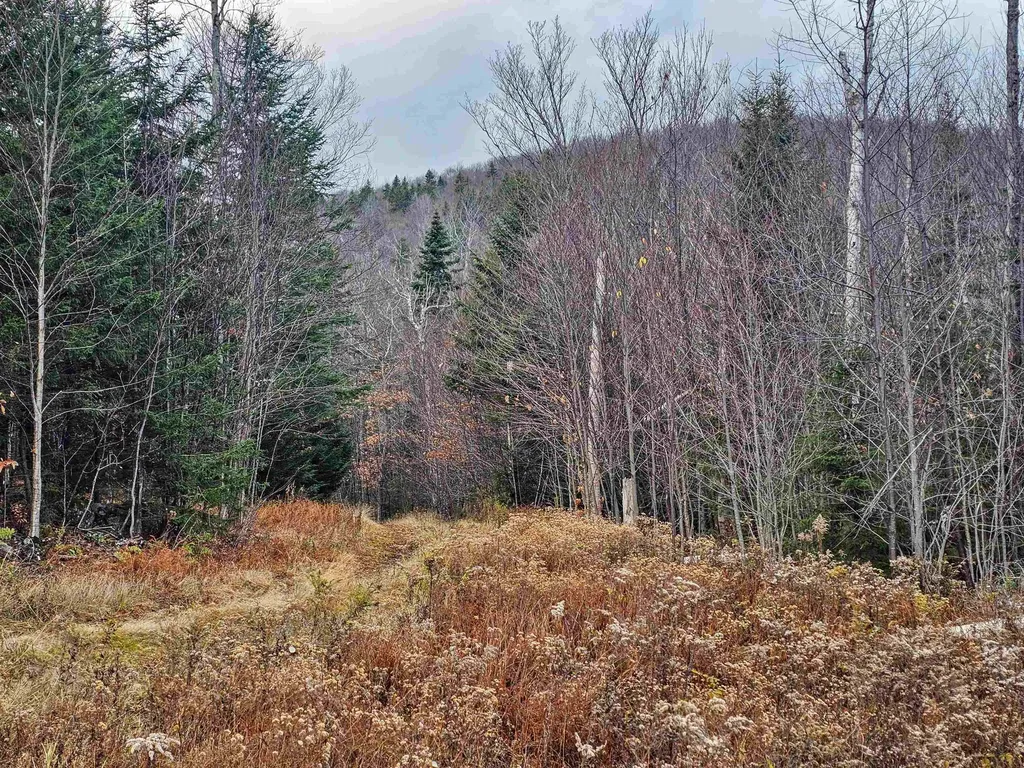 706 Vt Route 100 Stratton VT 05360