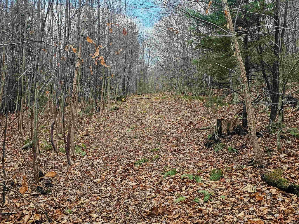 706 Vt Route 100 Stratton VT 05360