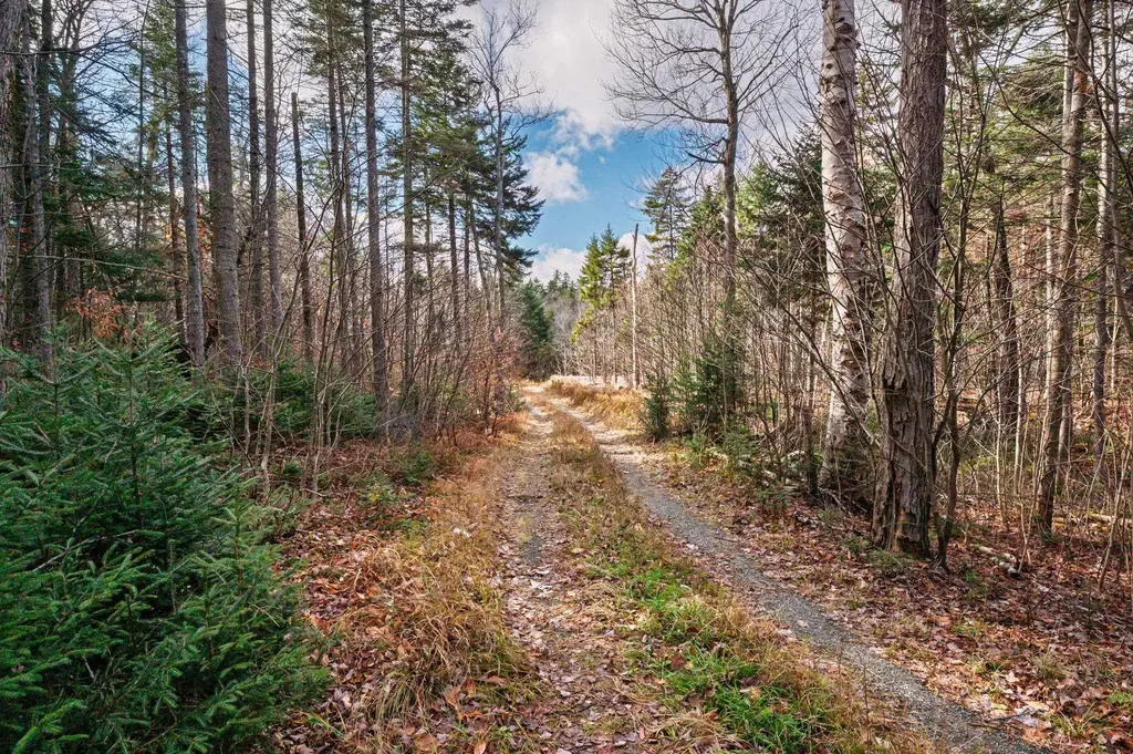 706 Vt Route 100 Stratton VT 05360