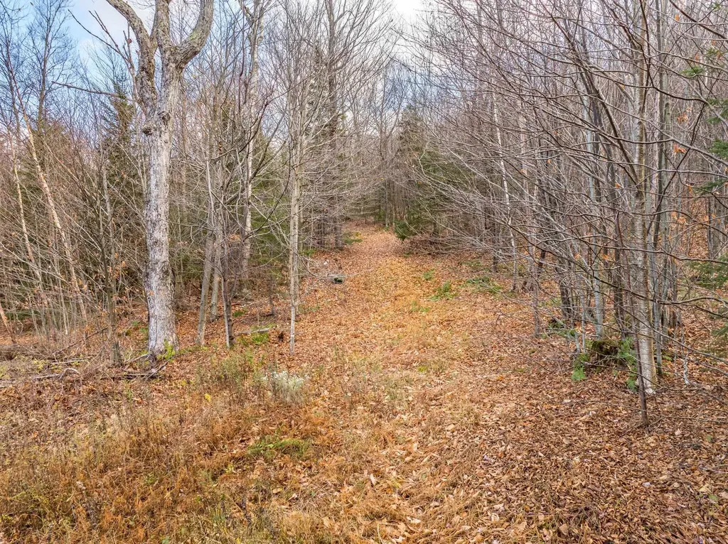 706 Vt Route 100 Stratton VT 05360