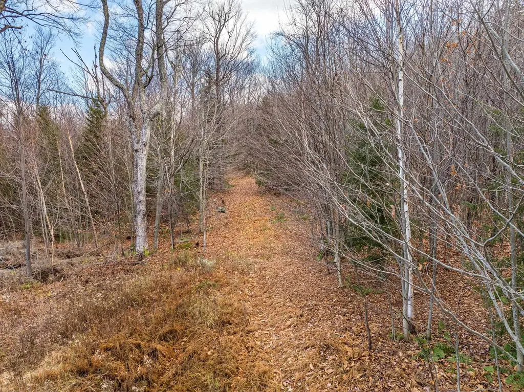 706 Vt Route 100 Stratton VT 05360