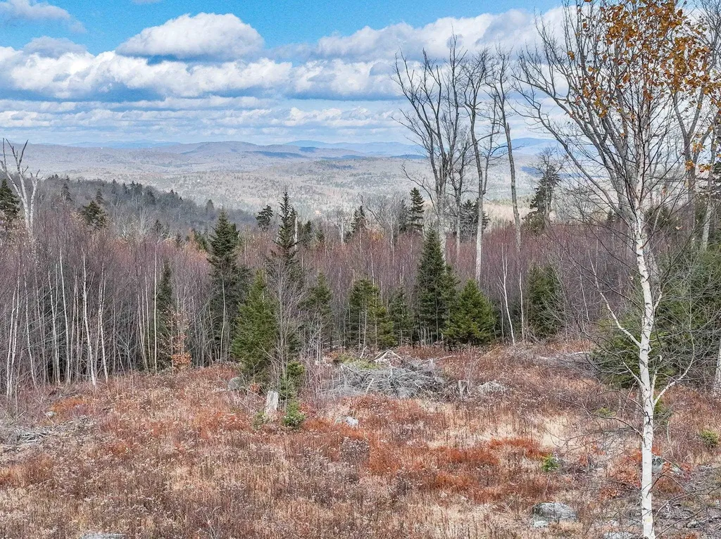 706 Vt Route 100 Stratton VT 05360