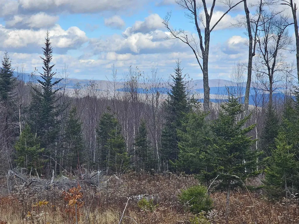 706 Vt Route 100 Stratton VT 05360