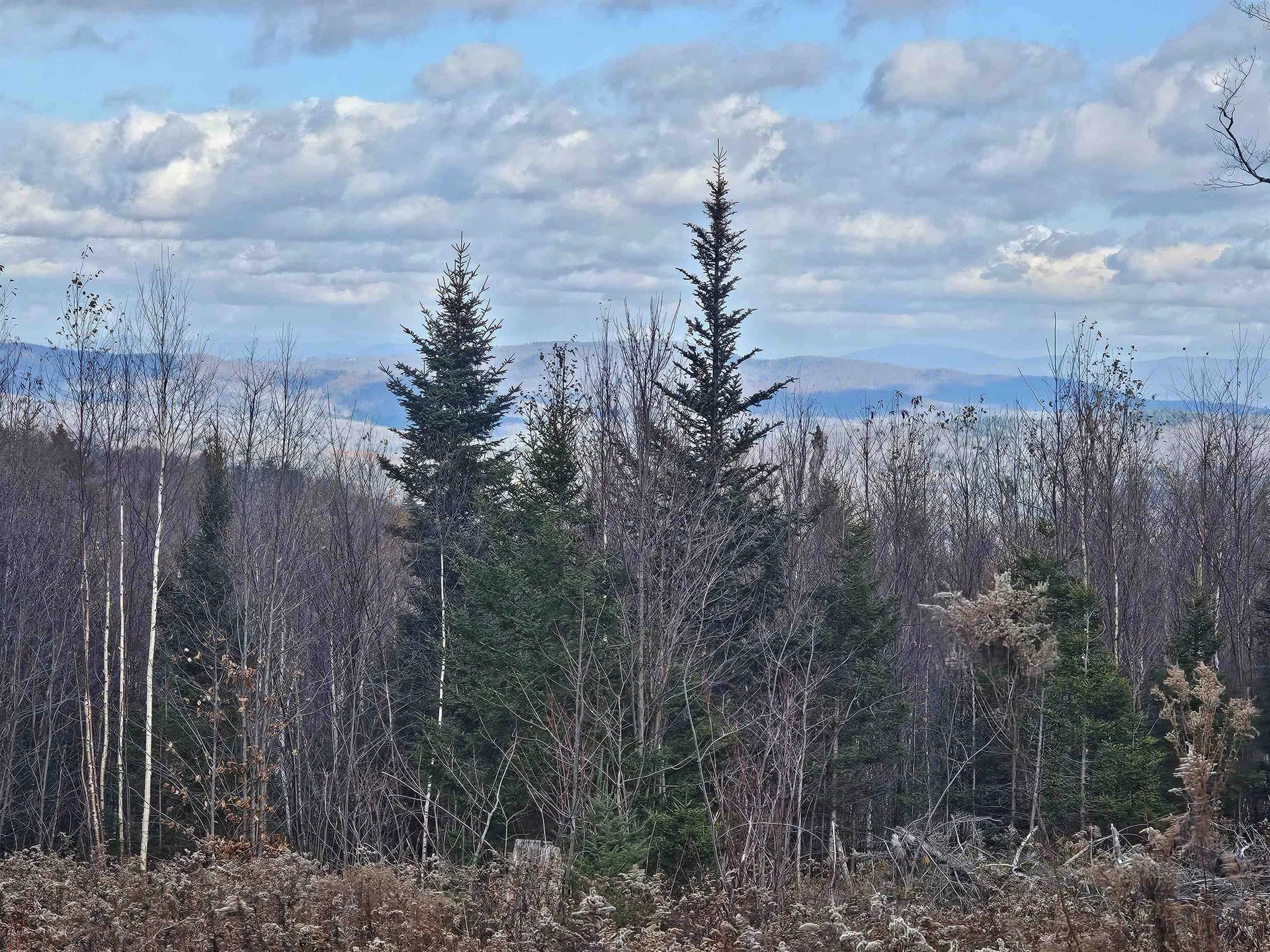 706 Vt Route 100 Stratton VT 05360