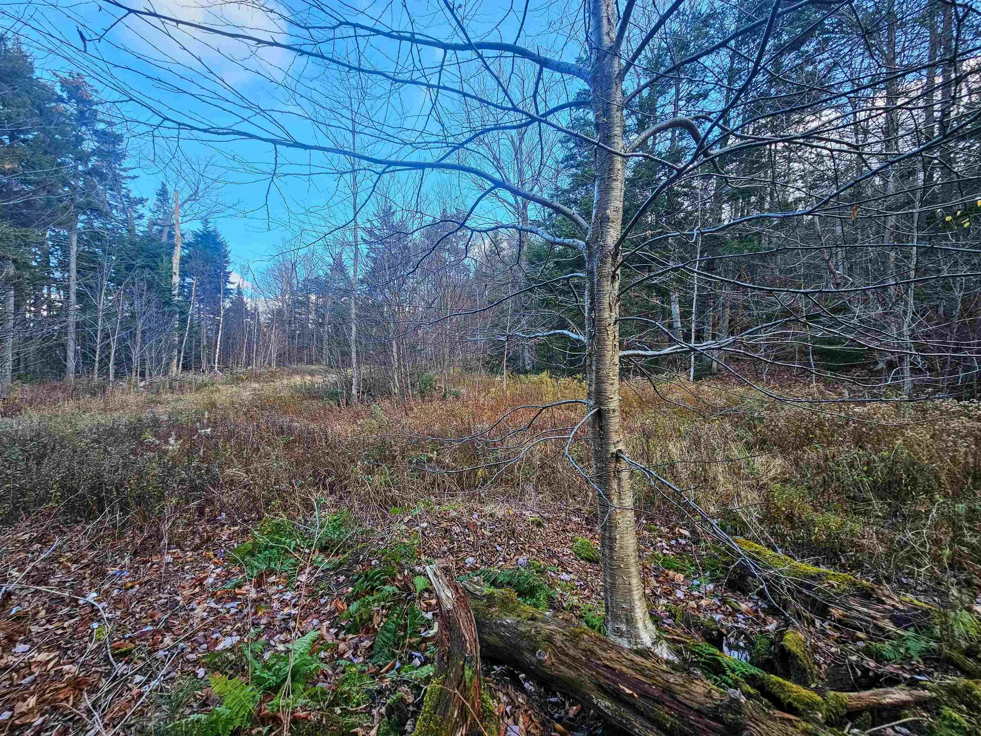 706 Vt Route 100 Stratton VT 05360