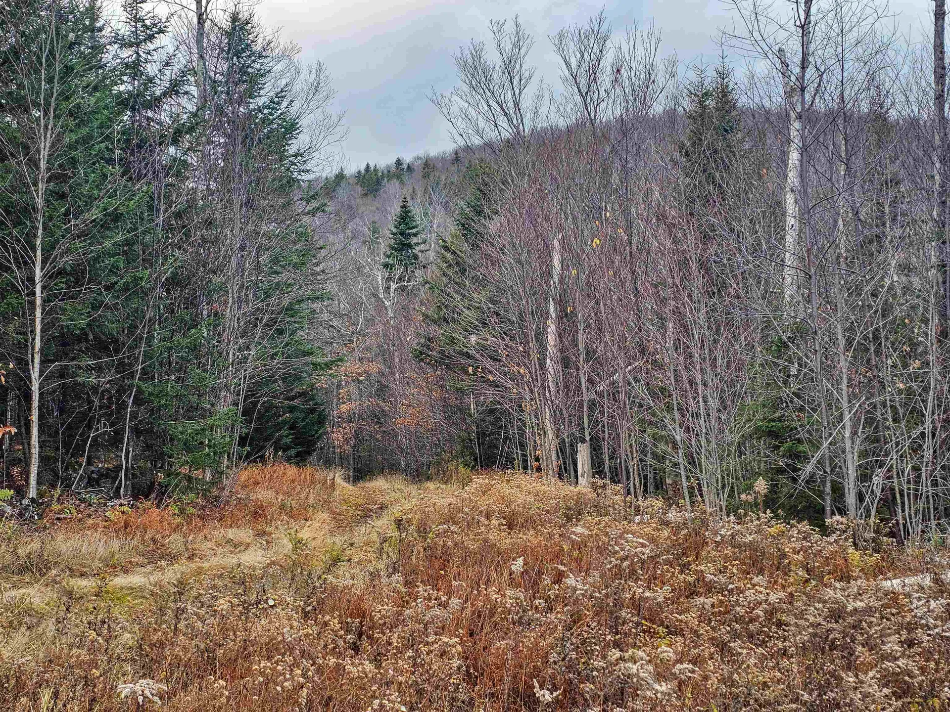 706 Vt Route 100 Stratton VT 05360