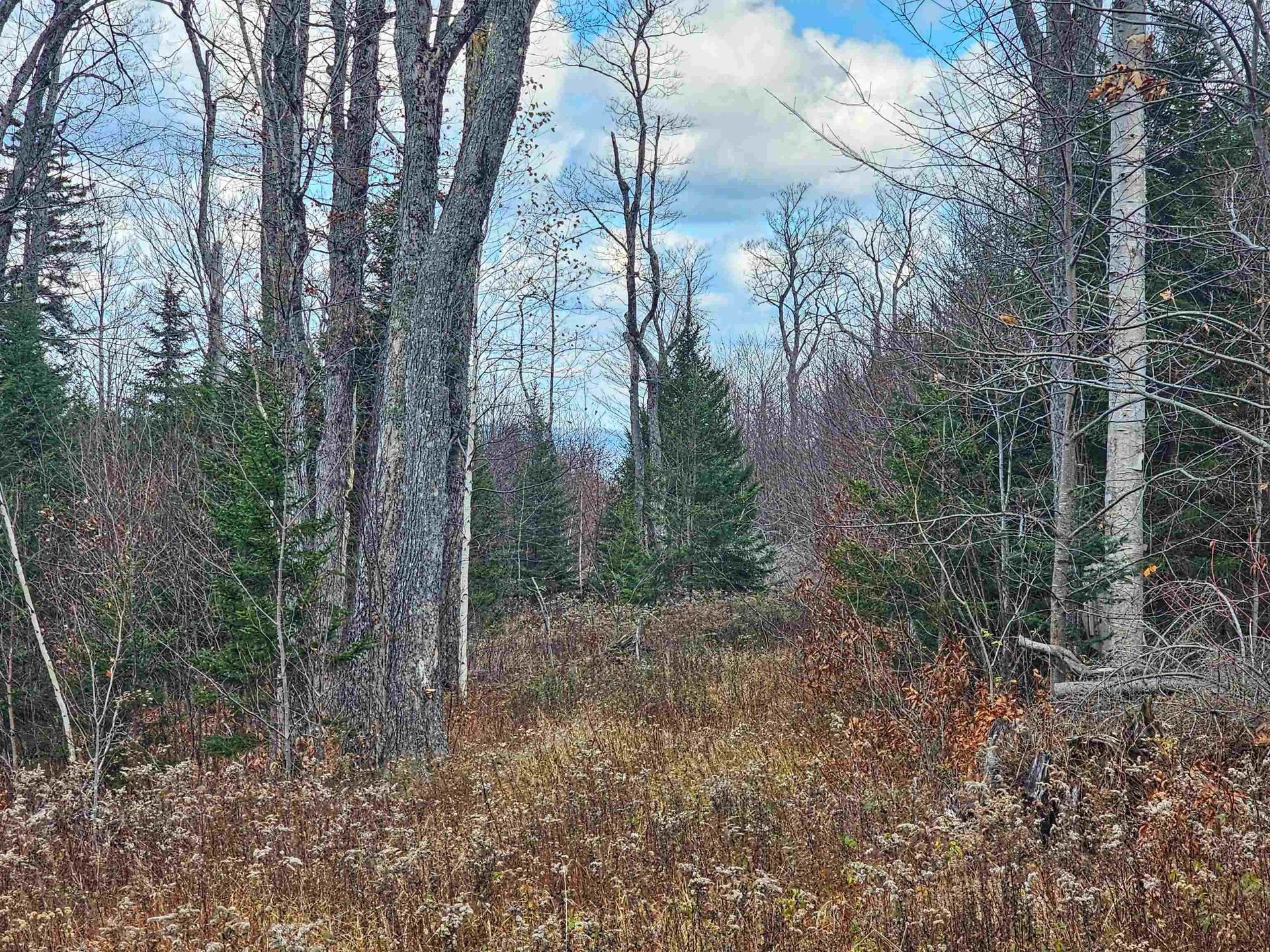 706 Vt Route 100 Stratton VT 05360