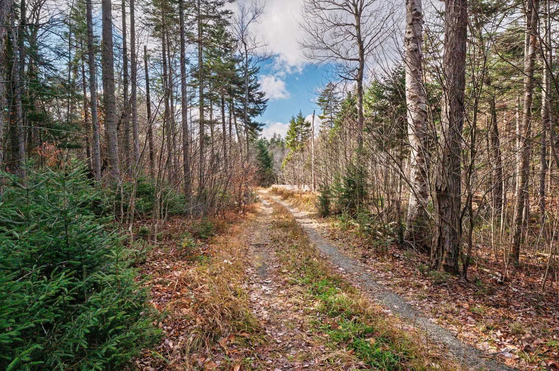 706 Vt Route 100 Stratton VT 05360