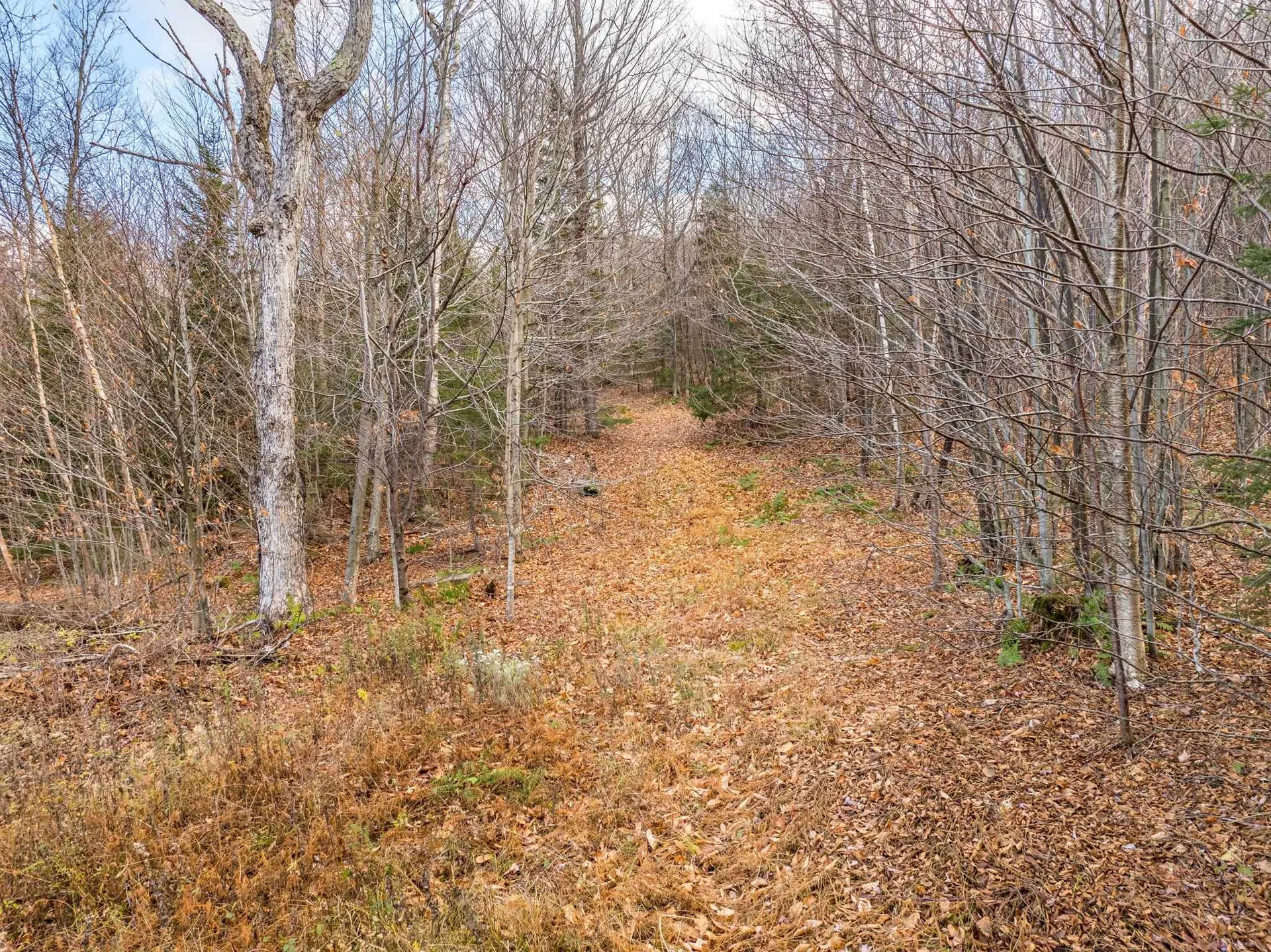 706 Vt Route 100 Stratton VT 05360