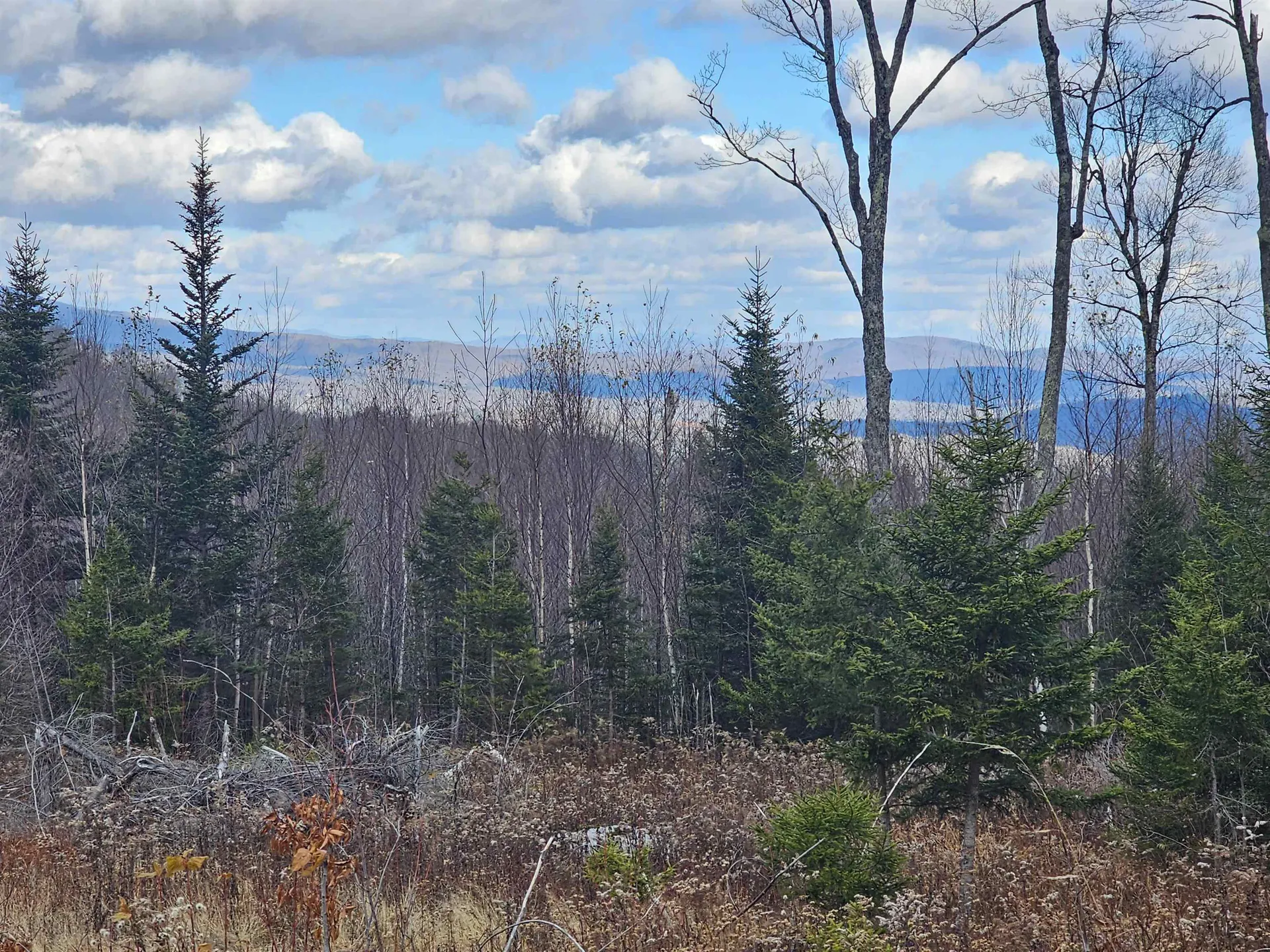 706 Vt Route 100 Stratton VT 05360