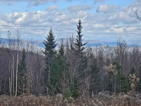 706 Vt Route 100 Stratton VT 05360