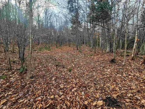 706 Vt Route 100 Stratton VT 05360