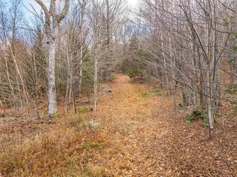 706 Vt Route 100 Stratton VT 05360