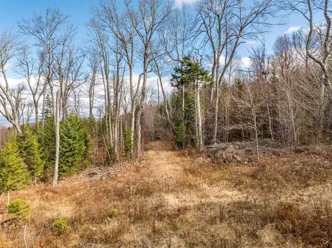 706 Vt Route 100 Stratton VT 05360