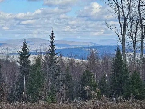 706 Vt Route 100 Stratton VT 05360